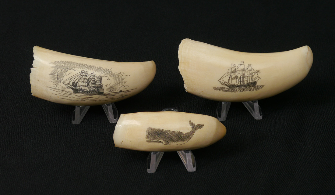 Appraisal: SCRIMSHAW SPERM WHALE TEETH th century production with scene of