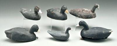 Appraisal: Six coot duck decoys cork and wood bodies painted glass