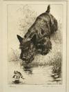 Appraisal: ETCHINGS - Dog Portraits by Morgan Dennis NY CA -