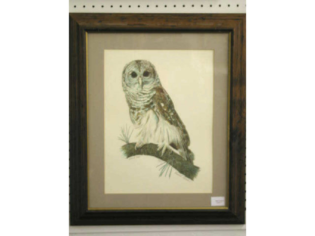 Appraisal: Gualoh Lubeck Owl Lithograph Barred Owl signed numbered