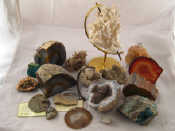 Appraisal: A collection of mineral and fossil specimens with stands including