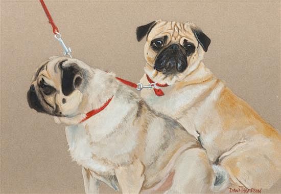 Appraisal: A Watercolor depicting Two Pugs x inches A Watercolor depicting