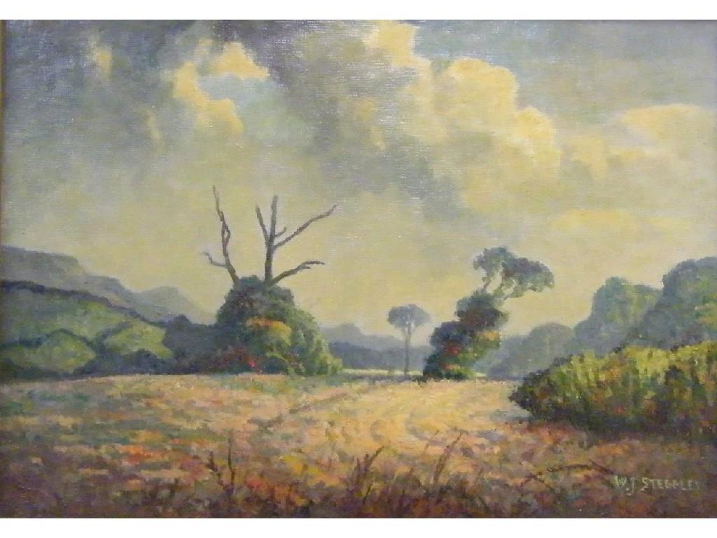 Appraisal: By Walter James Steggles - - 'Maiden Bradley' landscape scene