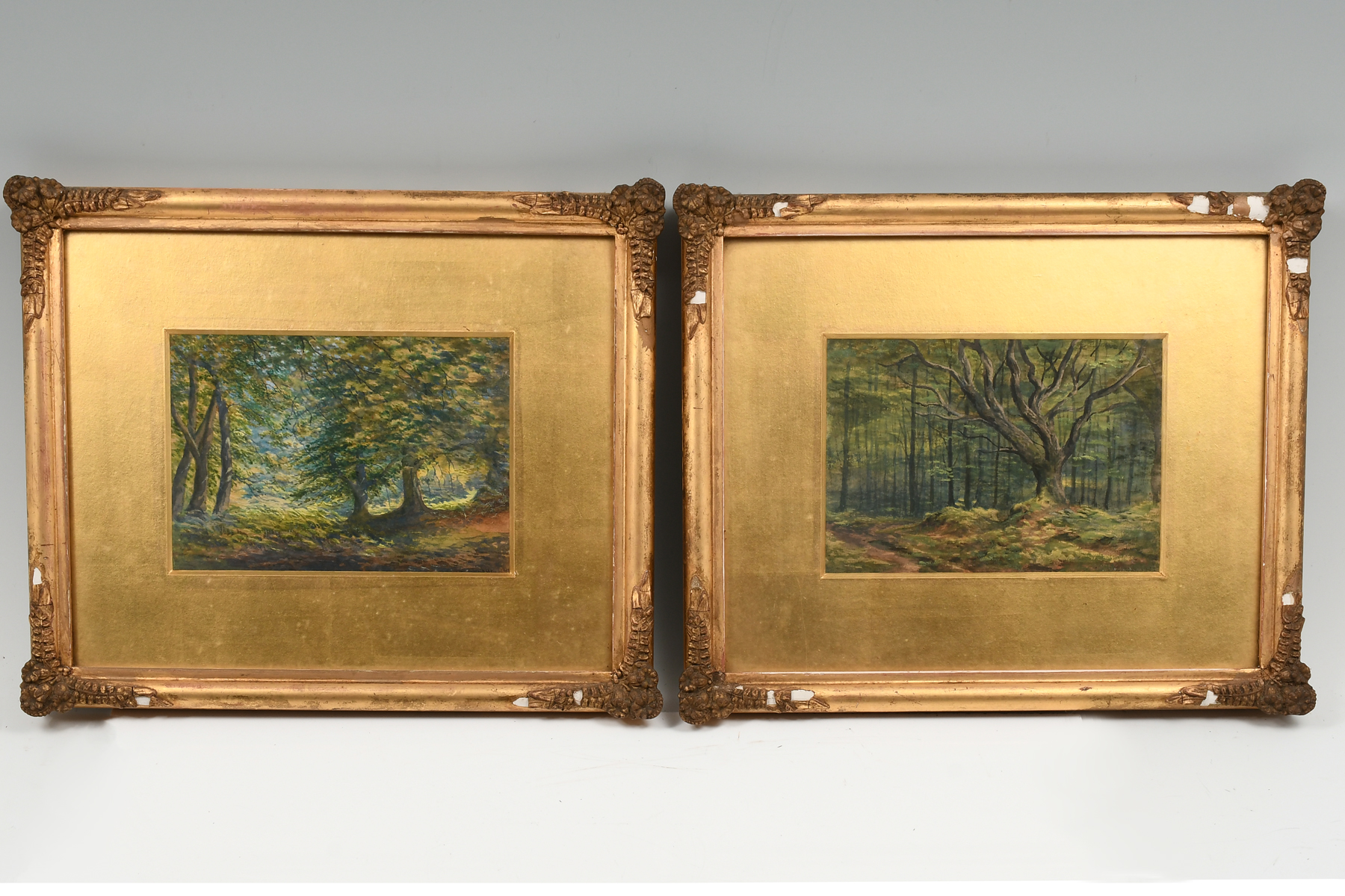 Appraisal: PAIR OF EARLY TH-CENTURY SIGNED WATERCOLORS Elaborate Forest Scenes one