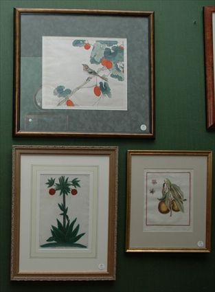 Appraisal: Asian Watercolor together with an Engraving of Peaches and an