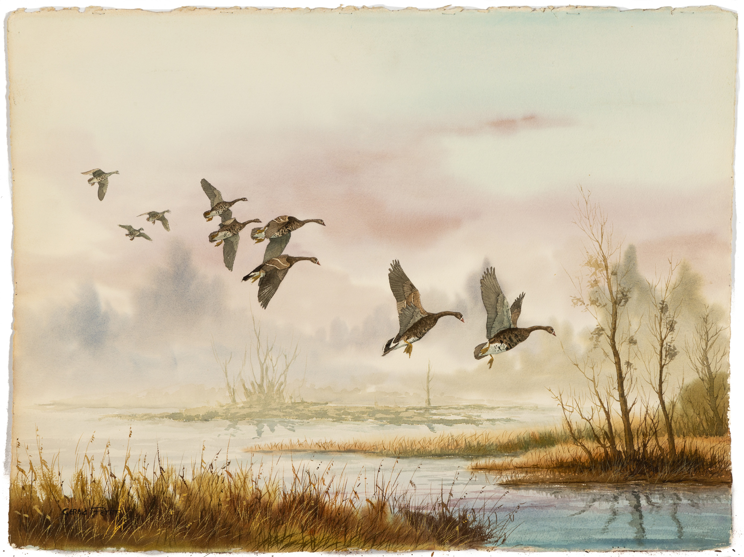 Appraisal: GERALD PETITT AMERICAN - WILD GEESE Watercolor on paper Signed