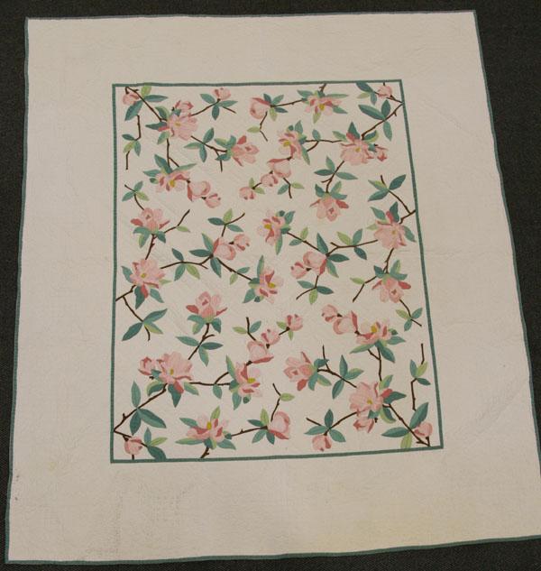 Appraisal: American hand pieced and floral applique quilt finely stitched cotton