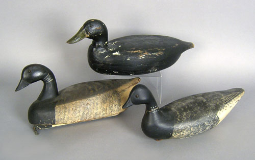 Appraisal: Three carved and painted duck decoys l l and l