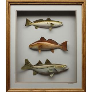 Appraisal: Modern Framed Fish Wall Display Size