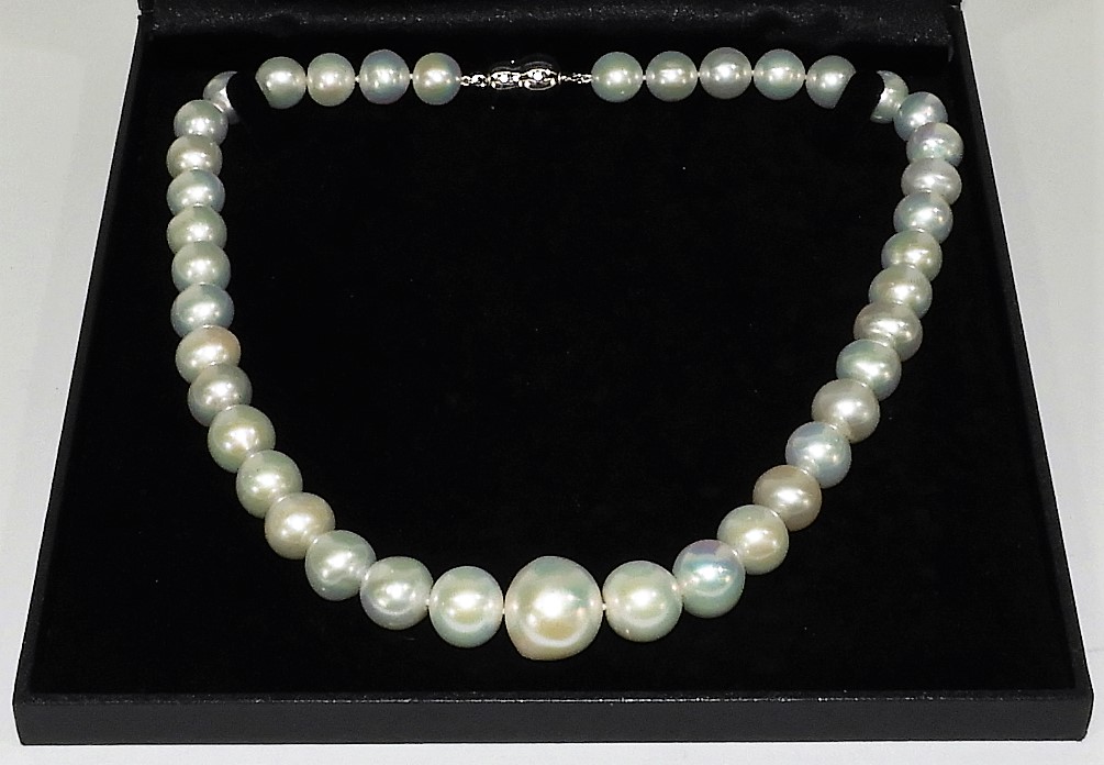 Appraisal: ESTATE CULTURED IRIDESCENT PEARL SILVER NECKLACE China ContemporaryRobust strand of