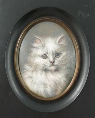 Appraisal: Maud D Heaps fl - Study of a Persian cat