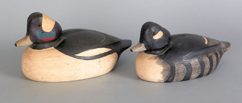 Appraisal: Pair of Cecil Anger Ontario Canada bufflehead duck decoys ca