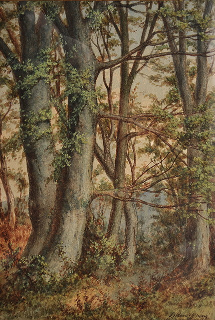 Appraisal: TH CENTURY WOODLAND SCENE watercolour on paper indistinctly signed cm