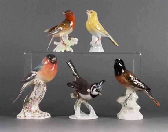 Appraisal: Four German bird porcelain bird figures and similar English porcelain