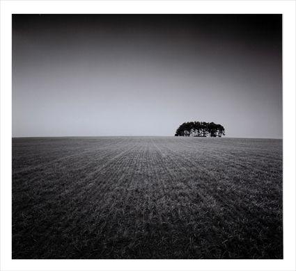 Appraisal: DAVID FOKOS b WOOLEY RESEVOIR NORTHUMBERLAND ENGLAND Photograph mounted on