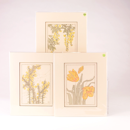 Appraisal: J FOORD Three color lithographs from Decorative Flower Studies yellow