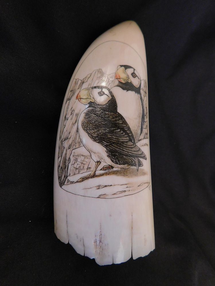 Appraisal: WHALE TOOTH WITH PUFFINS Whale tooth with colored scrimshaw scene