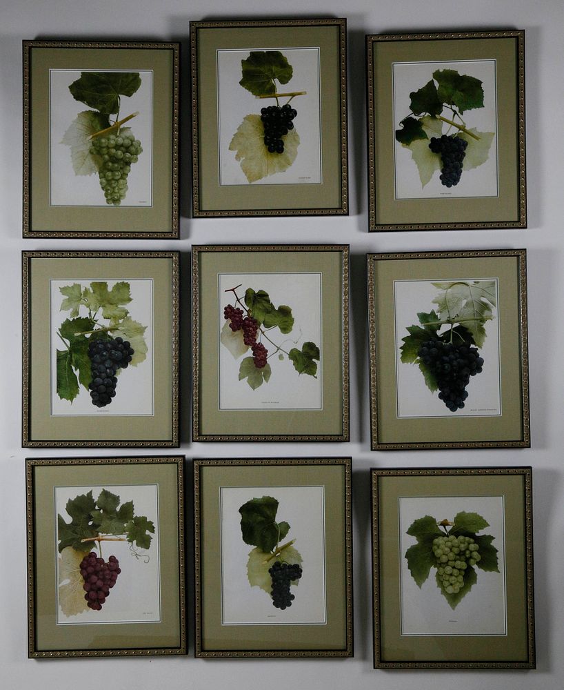 Appraisal: Set of Nine Vintage Framed Grapes of New York Prints