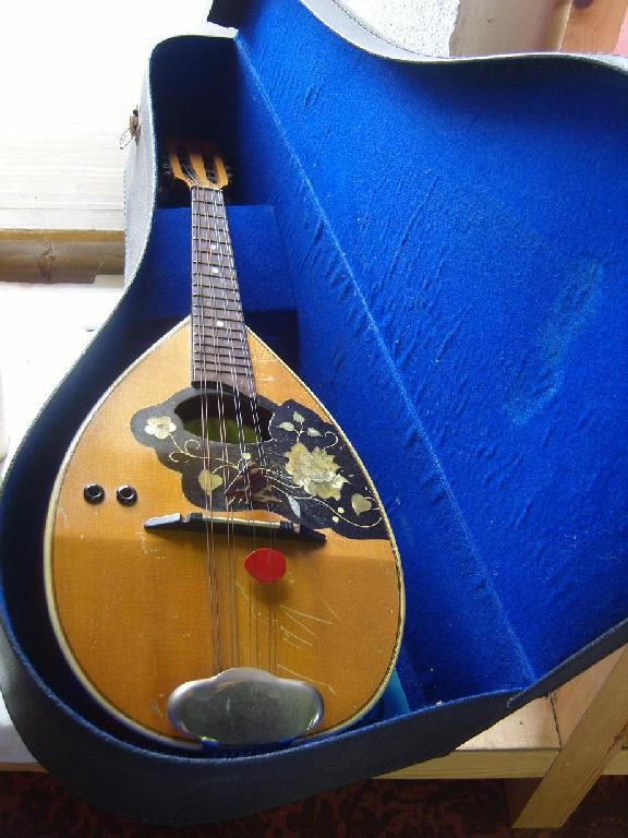 Appraisal: An Italian mandolin with chequered detail back mother of pearl