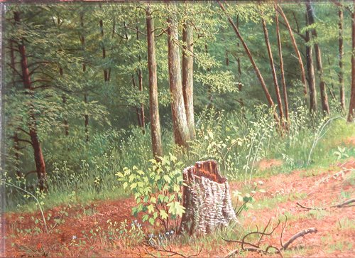 Appraisal: Artist Wall William Coventry British American - Title Old Stump