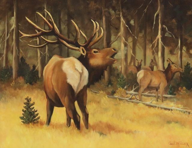 Appraisal: Framed oil on canvas painting Bull Moose signed lower right