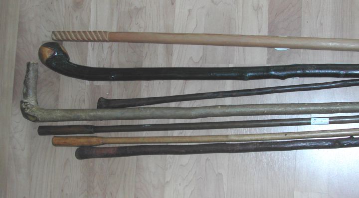 Appraisal: Collection of Seven Walking Sticks comprised of a blackthorn example