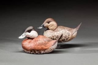 Appraisal: Ruddy Duck Pair Reagan Danos b Larose and Lockport LA