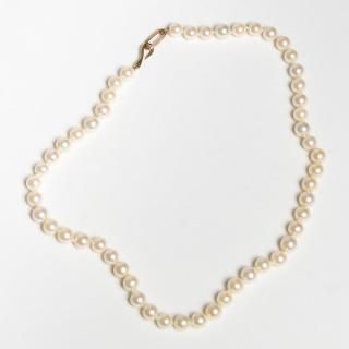 Appraisal: Pearl Choker Necklace with K Gold Clasp Strung on white