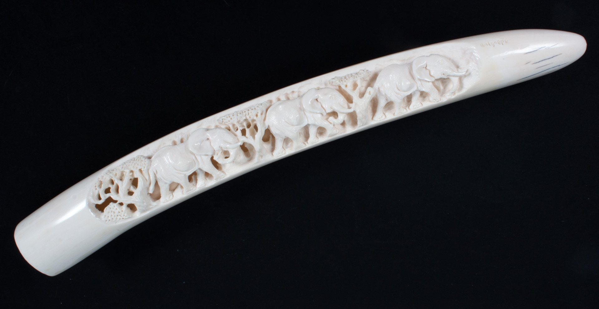 Appraisal: African carved ivory tusk section with relief decoration of elephants