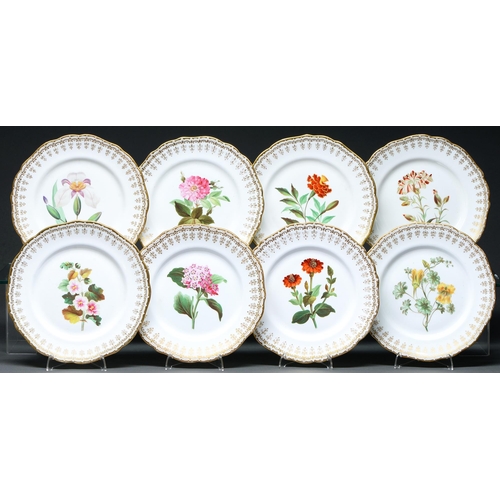 Appraisal: A set of eight Staffordshire bone china botanical dessert plates