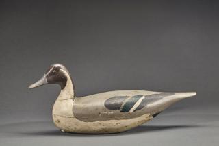 Appraisal: Pintail Drake Harry M Shourds Pintail DrakeHarry M Shourds -