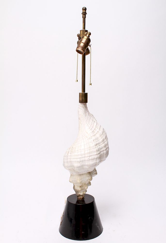 Appraisal: Conch Seashell Modern Table Lamp Conch seashell mounted as table