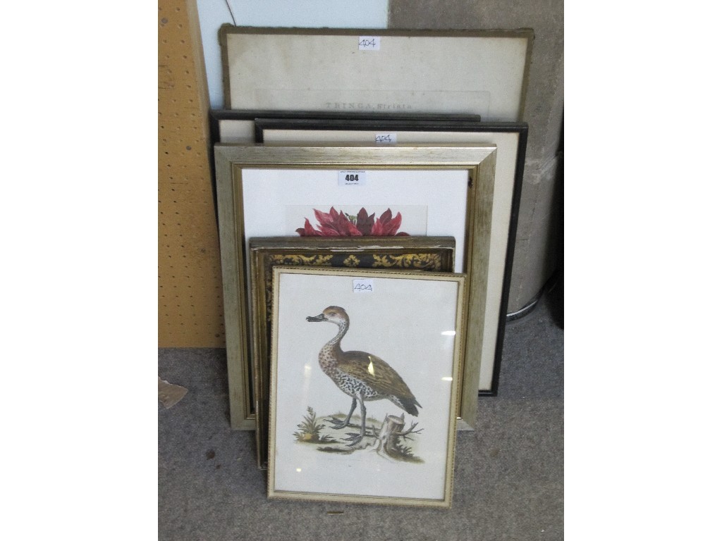 Appraisal: Lot comprising four ornithological and two botanical prints