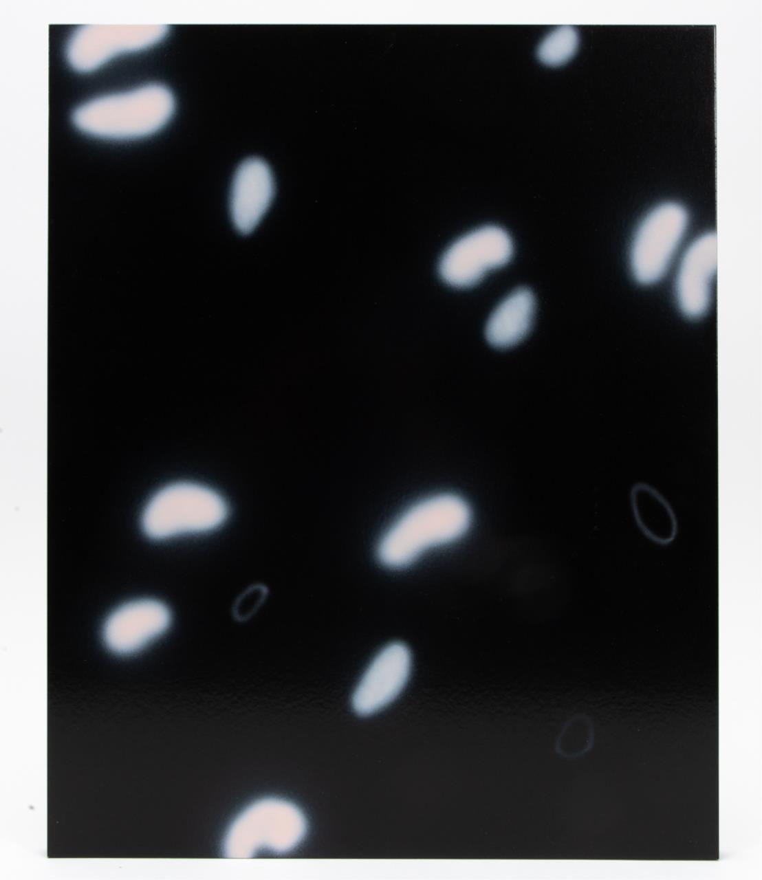 Appraisal: MICHAEL GIBSON WHITE DOTS ON BLACK PANEL Michael Gibson American