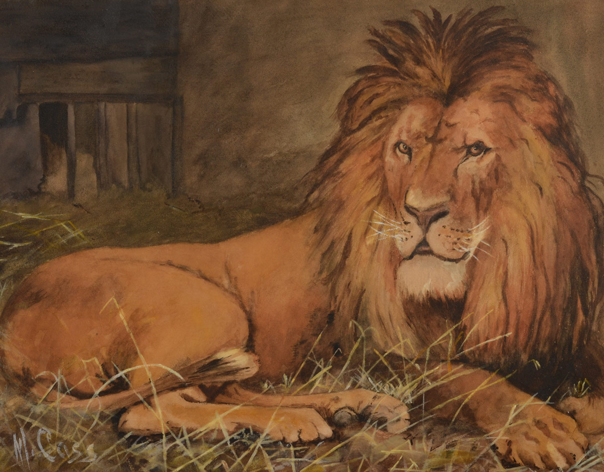 Appraisal: GOOD WATERCOLOR PAINTING OF A LION SIGNED M CASS Sight