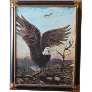 Appraisal: C E Jones Jr American Bald Eagle in Landscape C