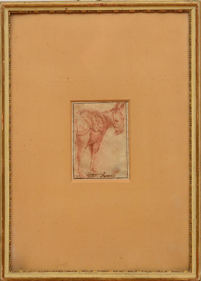 Appraisal: FOLLOWER OF FEDERICO BAROCCI - A STANDING DONKEY Sanguine and