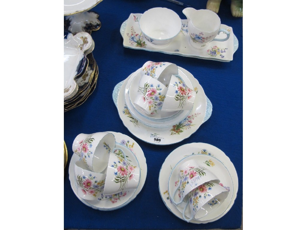 Appraisal: Shelly wild flowers teaset comprising cups saucers plates circular cake