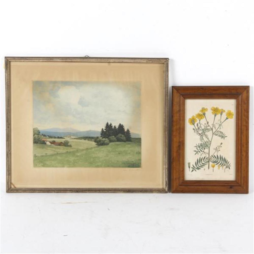 Appraisal: TWO ANTIQUE AQUATINT PRINTS RURAL MOUNTAIN LANDSCAPE ETCHING AND BOTANICAL