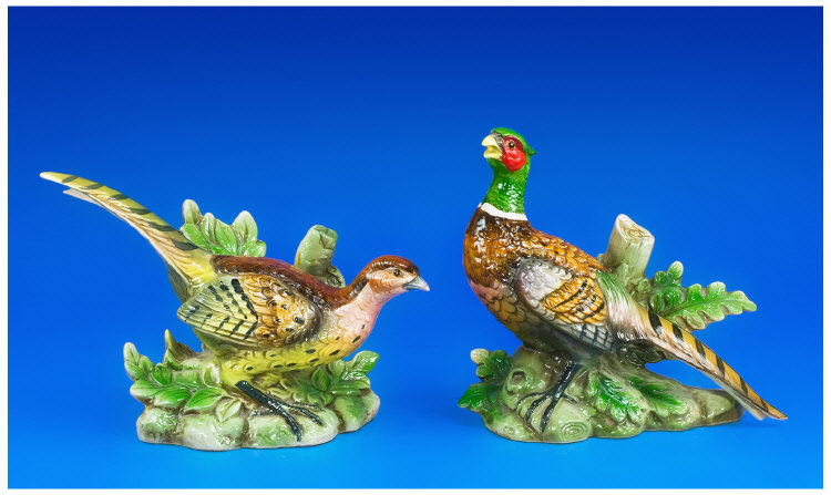 Appraisal: th Century German Pottery Bird Figures Woodhen and Pheasant amongst