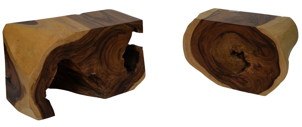 Appraisal: Pair of Modern Freeform Log End Tables heights inches tops