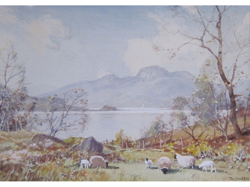 Appraisal: TOM CAMPBELL Watercolour loch scene with sheep to the foreground