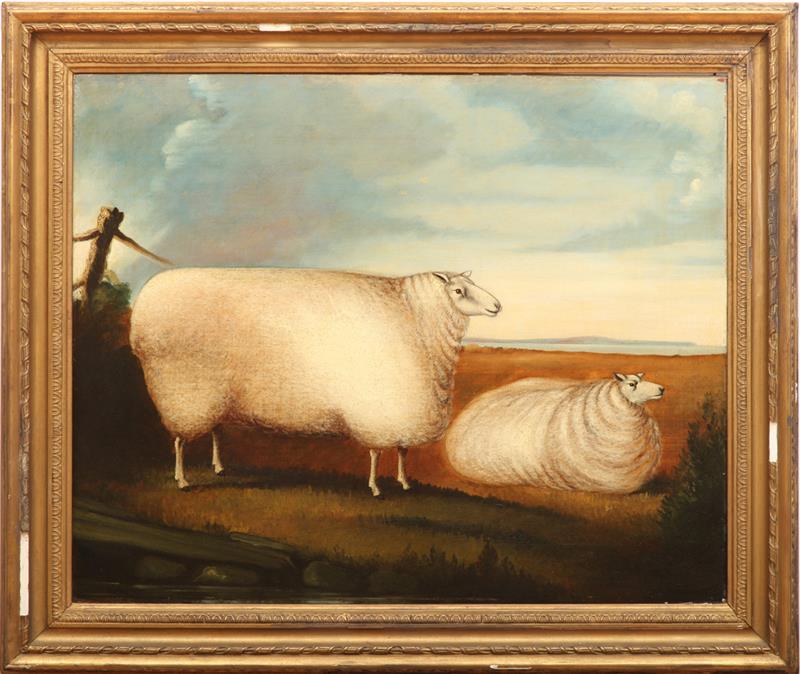 Appraisal: ENGLISH SCHOOL SHEEP Oil on canvas unsigned lined x in