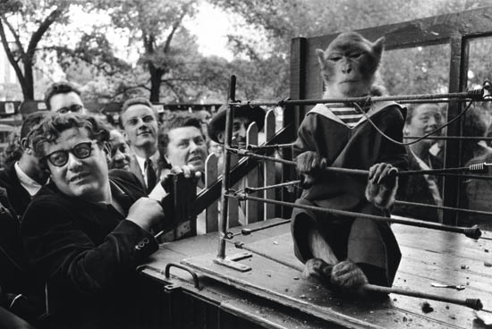 Appraisal: DOISNEAU ROBERT - Les Animaux Sup rieurs Silver print x