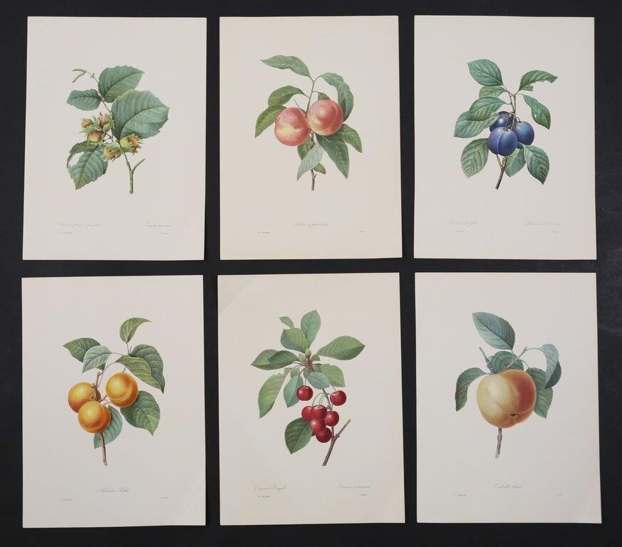 Appraisal: After Pierre Joseph Redoute French - prints Engravers include Langlois