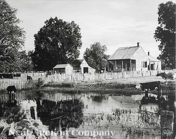 Appraisal: Theodore Fonville Winans American Louisiana - Country Estate silver gelatin