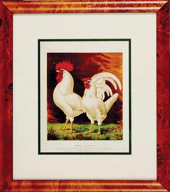 Appraisal: J W Ludlow after British late th century CHICKENS from