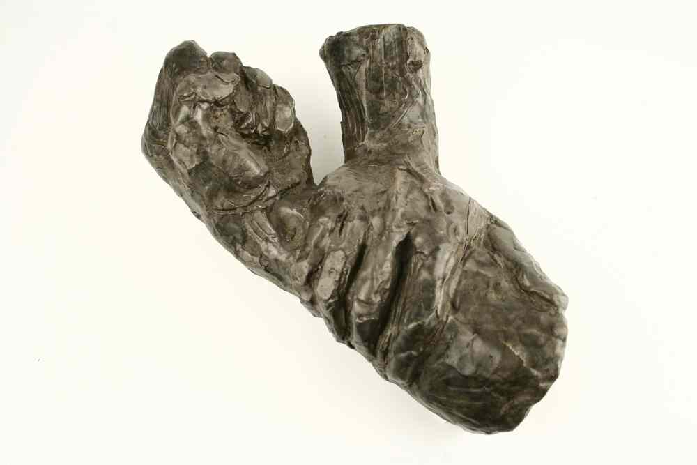 Appraisal: BRONZE SCULPTURE - Hands by Rod Hornor monogram date of