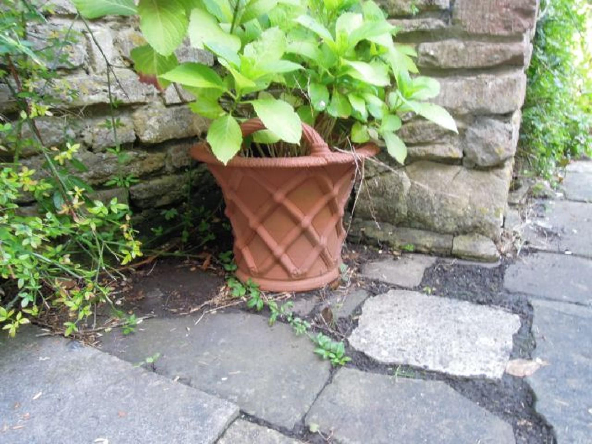 Appraisal: A terracotta basket with lattice work detail