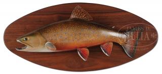 Appraisal: DAVID FOOTER BROOK TROUT TROPHY MOUNT DAVID FOOTER BROOK TROUT